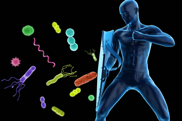 Vitamins and Supplements Immune Defense