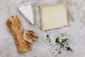 Top Five Food Sources For Calcium