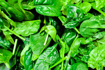 Spinach and Why You Should Eat It