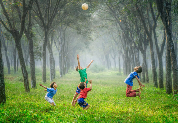 Vitamins and Minerals to Improve Adolescent Fitness