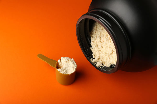 Whey Protein Isolate May Favorably Alter Cardiovascular Function in Older Adults