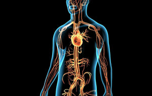 Vitamin C is Another Tool Used to Combat COVID-19