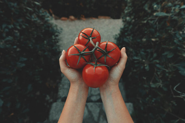 Top Five Foods Containing Lycopene